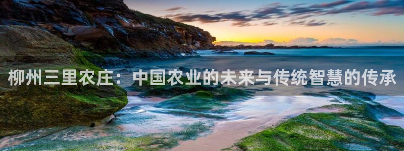 fh至尊20