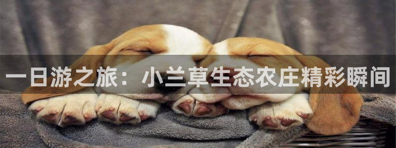 fh凤凰至尊平台