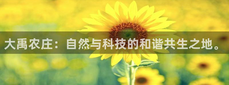 fh至尊平台靠谱吗