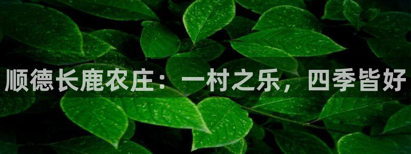fh至尊在哪可以下载
