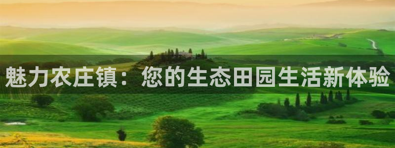 FH至尊是什么意思