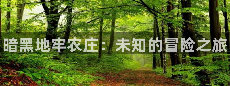 fh至尊游戏模式