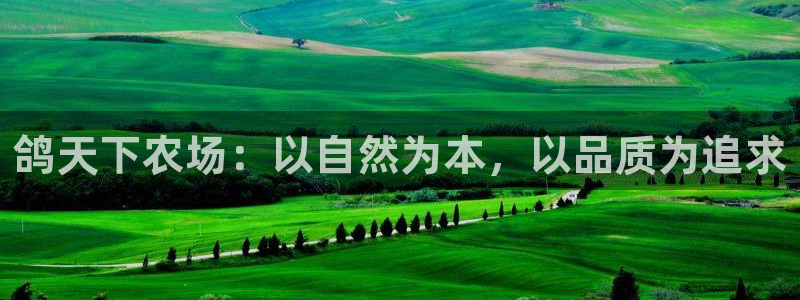 fh至尊怎么登录