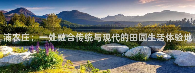 fh凤凰至尊版