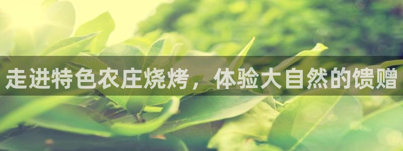 fh至尊游戏玩法