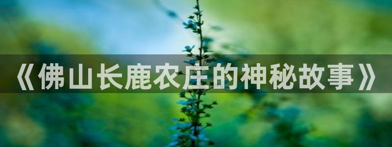 至尊天龙fh7075