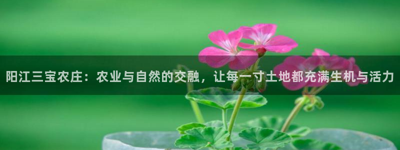 fh至尊闪退