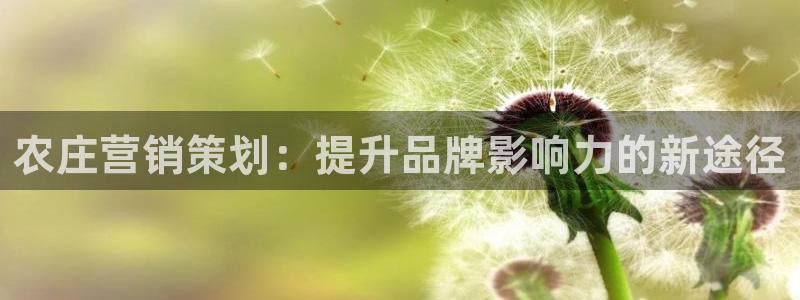 fh至尊吧百度贴吧