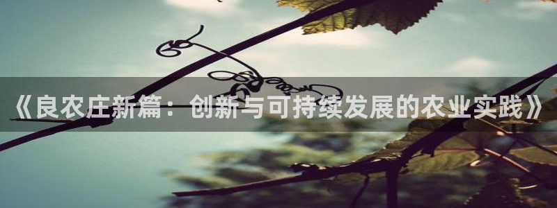 凤凰至尊fh凤凰版0a