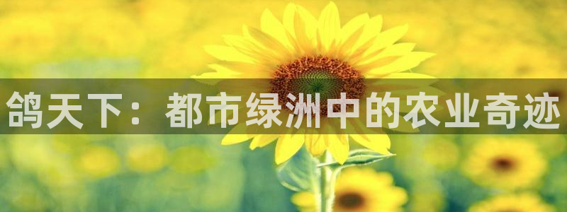 fh至尊正常登录