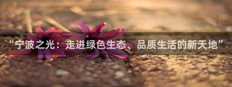 fh至尊多少年了