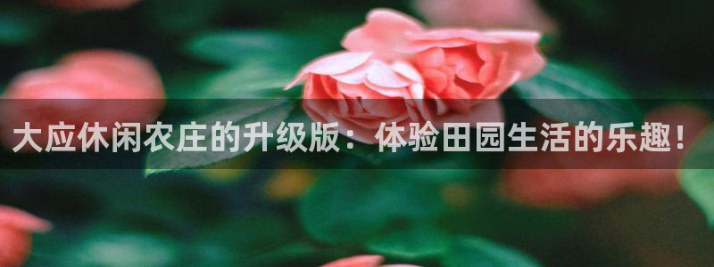 FH至尊平台老板是谁