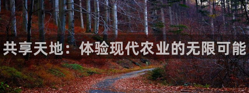 fh至尊是老凤凰吗
