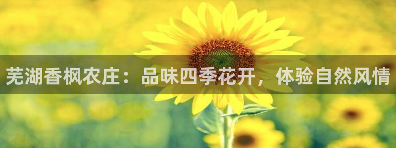 fh至尊平