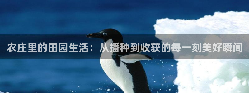 FH至尊平台怎样