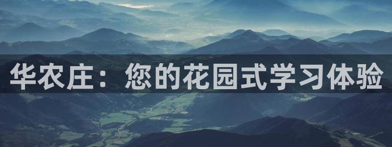 fh至尊什么意思