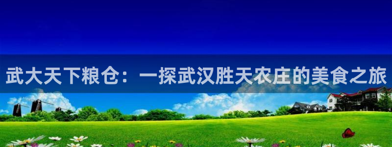 fh至尊安全吗