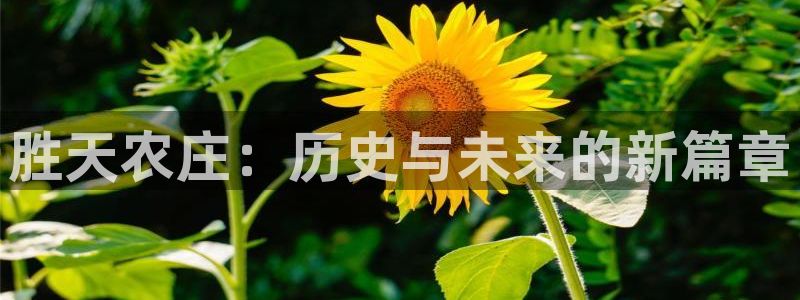fh至尊平台黑钱