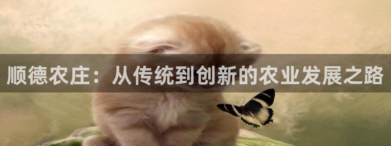 FH至尊登陆