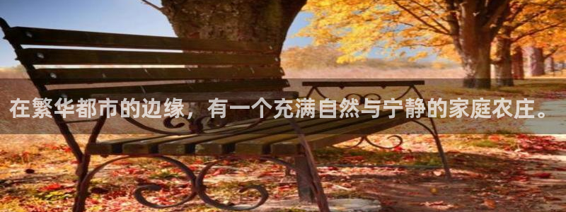 fh至尊多少年了
