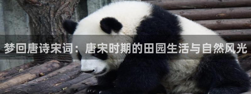 fh至尊平台坑人的原因