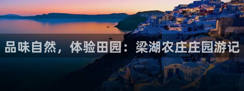 FH至尊怎么样
