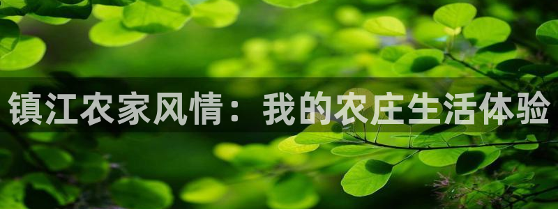 沃尔沃fh500至尊款