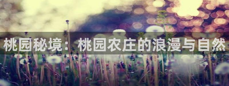 FH至尊娱乐平台