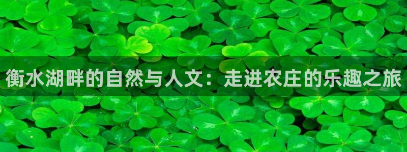 fh至尊平台正常登录