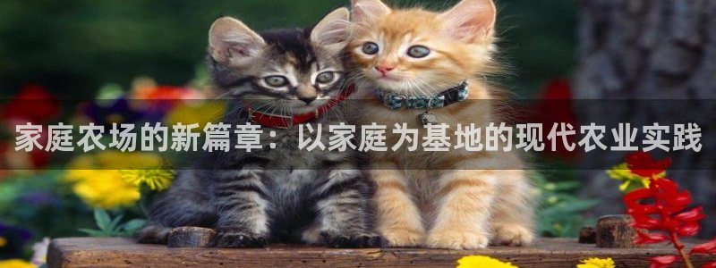 fh至尊官方网站
