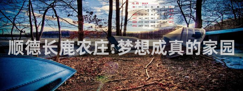 fh至尊什么意思