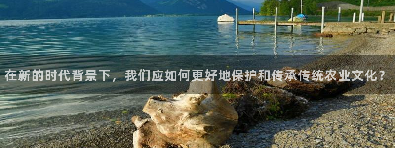 fh至尊app下载安装
