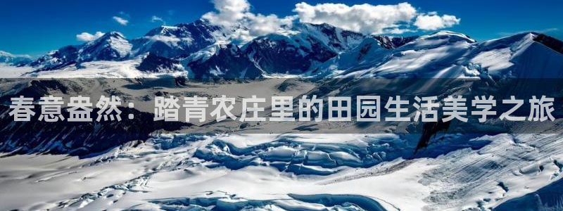 FH至尊黑钱