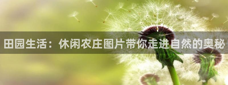 fh至尊什么意思