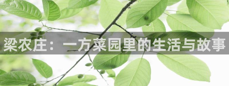 fh至尊黑铁