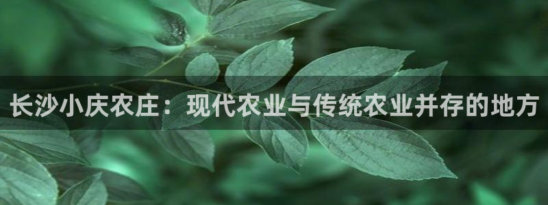 FH至尊下载