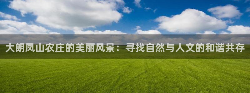 FH至尊开户平台