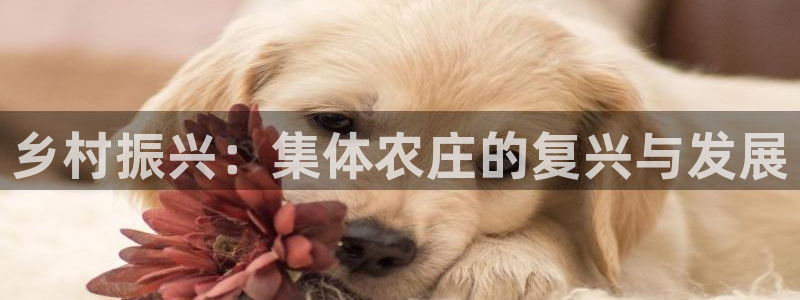 fh至尊平台冻结