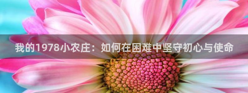 至尊天龙fh7075