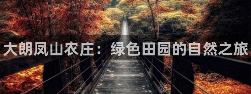 老凤凰改名FH至尊黑钱