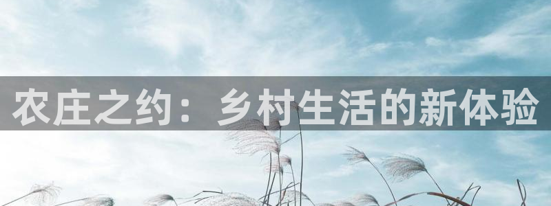 FH至尊信誉怎么样