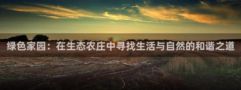 凤凰FH至尊