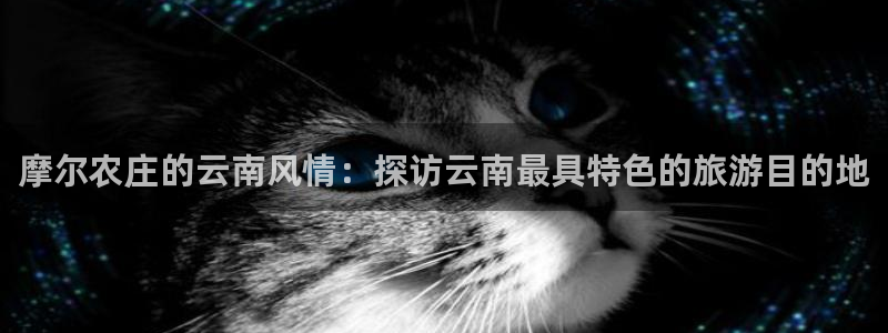 fh至尊怎么改密码