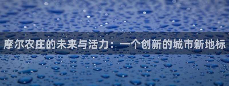 FH至尊黑钱
