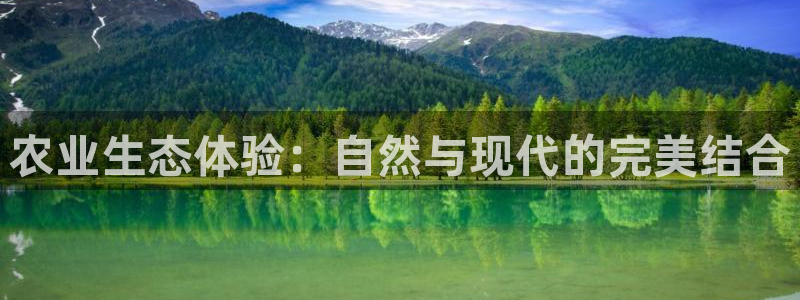 fh至尊网页登入