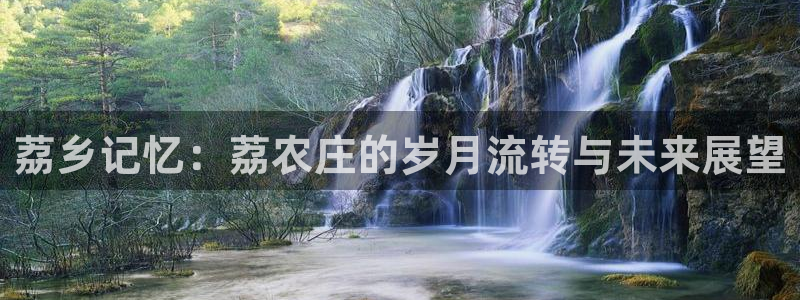 fh至尊平台多少年了