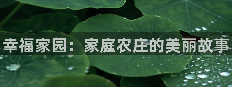 FH至尊平台是什么平台