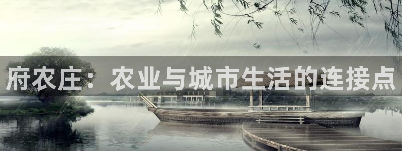 fh至尊20