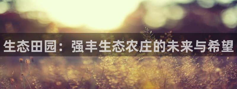 fh至尊是黑台子吗