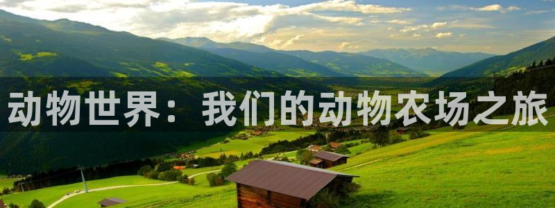 fh至尊平台如何提现